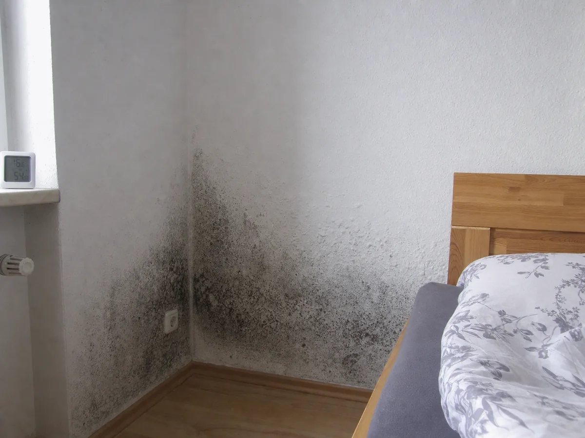 Schwarzer Schimmel im Schlafzimmer — typischer Befall an kalter Außenwand